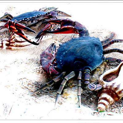 玻璃鋼仿真動物廠家,玻璃鋼仿真動物價格,玻璃鋼仿真動物哪家好 玻璃鋼仿真動物廠家,玻璃鋼仿真動物價格,玻璃鋼仿真動物哪家好