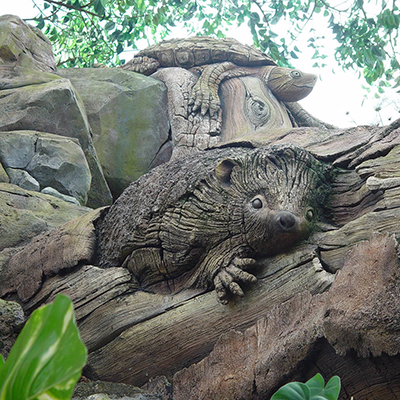 水泥直塑廠家,水泥直塑價格,水泥直塑哪家好 水泥直塑廠家,水泥直塑價格,水泥直塑哪家好