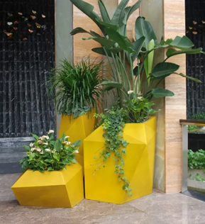 大連成人抖音在线 大連成人抖音在线