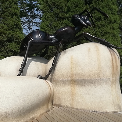 大連成人抖音免费版,大連成色版抖音91免费,大連成人抖音在线 大連成人抖音免费版,大連成色版抖音91免费,大連成人抖音在线